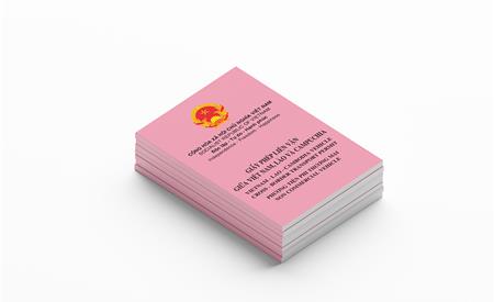 Giấy phép liên vận 03